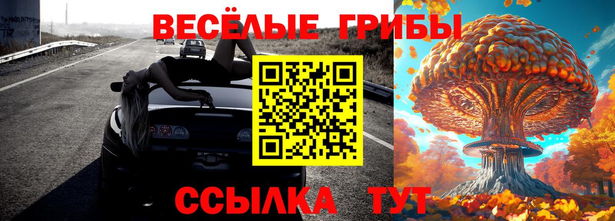 Кохма  Галлюциногенные грибы Cubensis  Псилоцибиновые грибы ЛСД  Вход с VPN 